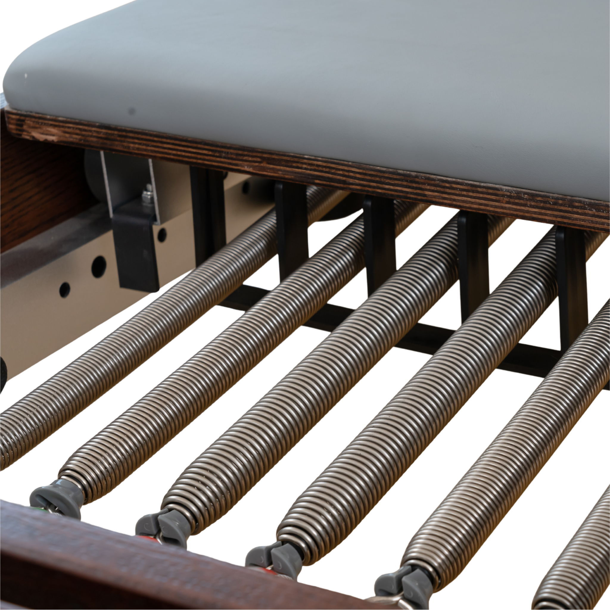 Reformed Kaleo Prestige – Red Oak